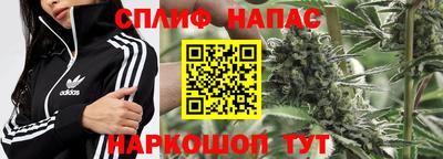 прущие грибы Комсомольск-на-Амуре